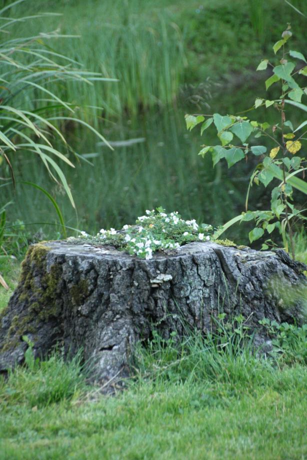 attachment.php?attachmentid=1227&d=1241099164